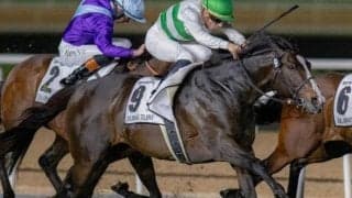 【マイルCS】ソウルラッシュが史上7頭目の連覇へ 今年はC.デムーロ騎手とタッグ