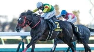 【福島記念予想オッズ】エコロヴァルツが予想1番人気