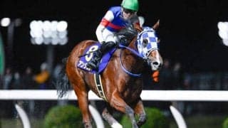 【川崎・ローレル賞結果】アンジュルナが4馬身差圧勝で重賞初制覇