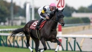 【マイルCS展望】充実の4歳馬ラヴァンダが距離短縮ローテでGI制覇へ