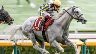【マイルCS】21頭の香港馬名・馬名意味を紹介！『地神力』『生活格調』はどの馬？