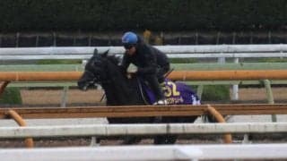 クロワデュノール、ジャパンC1週前追い切り速報/栗東トレセンニュース