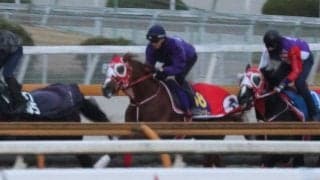 シンエンペラー、ジャパンC1週前追い切り速報/栗東トレセンニュース