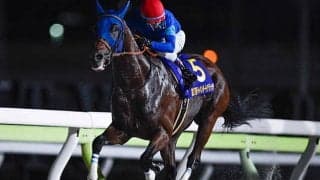 【チャンピオンズC想定】ナルカミやダブルハートボンドなど20頭