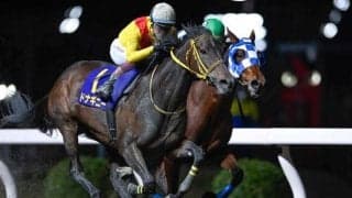 【川崎・ロジータ記念結果】ドナギニーが差し切って重賞初制覇