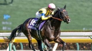 【マイルCS予想】人気馬か伏兵か AIは心強い実績馬を指名