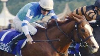 史上2頭目の3きょうだいGI制覇 シュヴァルグランが制した17年ジャパンCを振り返る