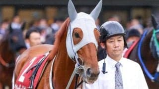 【マイルCS】2年目の高杉吏麒騎手 ウォーターリヒトでGI初制覇なるか