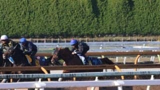 ダノンデサイル、ジャパンC1週前追い切り速報/栗東トレセンニュース