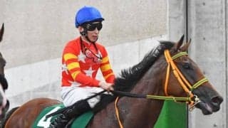 昨年の新潟記念覇者シンリョクカが引退 下河辺牧場で繁殖入りへ