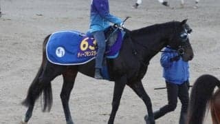 ディープモンスター、ジャパンC1週前追い切り速報/栗東トレセンニュース