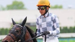 半兄はドウデュース エンダードラゴンがダート戻りで好走なるか