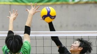 郡山北工、全試合ストレート勝ち　郡山女大付は白熱の決勝制す　春高バレー福島代表決定戦