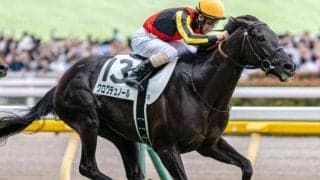 凱旋門賞からのローテでジャパンCに出走した日本馬たち