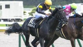 【秋色S】福永祐一厩舎の2.9億円馬 アスクセクシーモアがオープン入りなるか