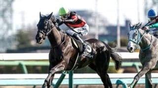 【福島記念枠順確定】クリスマスパレードは1枠1番、エコロヴァルツは4枠8番