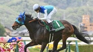 今年の福島牝馬S覇者アドマイヤマツリが引退 今後はスマイルファームで繁殖入りの予定