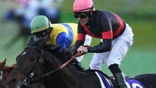 【マイルCS】連対馬すべてが該当する条件とは？ 過去データから好走条件を探る