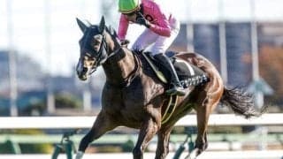 平地・障害双方で活躍のアサクサゲンキが登録抹消 小倉競馬場で乗馬になる予定