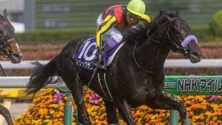 今週の武豊騎手は18鞍 マジックサンズでマイルCSの12年ぶり3勝目狙う