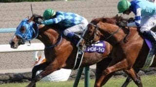 半兄は天皇賞(春)覇者のレインボーライン レッドブライトンがダート1400mでデビュー