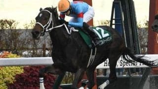 【チャンピオンズC想定馬・騎手】ダブルハートボンド、ナルカミなど24頭