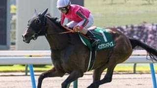 福島記念は毎年内有利 内枠巧者のイングランドアイズが狙い目だ