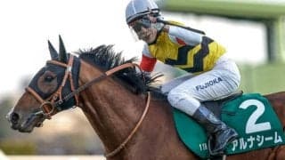 重賞2勝のアルナシームが引退 今後は乗馬に