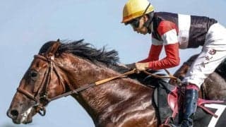 【京都2歳S想定馬・騎手】ウイナーズナイン、アスクエジンバラなど12頭