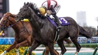 【京阪杯想定馬・騎手】ルガル、ナムラクララなど24頭