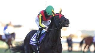 武豊騎手 今週の騎乗馬…マイルCSはマジックサンズで一発を狙う