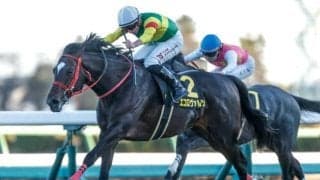 【今日の注目ポイント】福島記念でエコロヴァルツが重賞制覇を狙う