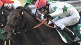 福島記念は内枠が圧倒的有利 過去10年の勝ち馬7頭に該当する共通点とは