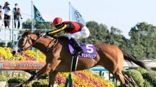 【競馬予想】マイルCSで注目は４歳牝馬２頭　ＧⅠ馬６頭が揃うなかで見るべき血統は？