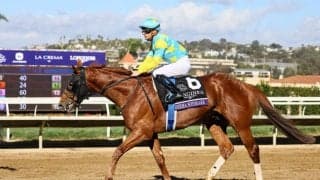 【浦和記念】デルマソトガケなどJRA馬4頭