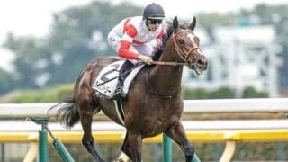 【東スポ杯2歳S枠順確定】ダノンヒストリーは7枠9番、ゾロアストロは6枠8番