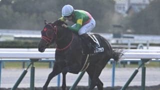 【秋明菊賞結果】タガノアラリアが内を突いて抜け出しV