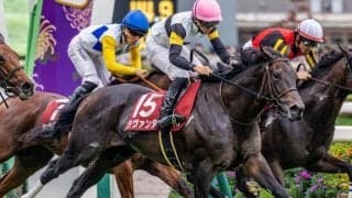 京都芝外回りは外伸び顕著 マイルCSはラヴァンダの一発があるぞ