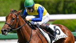 半兄は大阪杯連覇のベラジオオペラ エアビーアゲイルが初勝利なるか