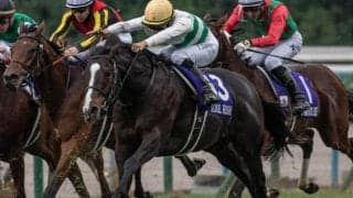 過去10年のデータで読み解くマイルCS 注目は京都開催で好成績収める血統