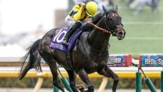 【マイルCS予想】下半期の最強マイラー決定戦 瞬発力が求められる戦い