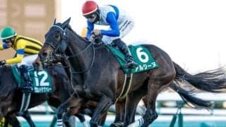 重賞2勝のアルジーヌが登録抹消 ケイアイファームで繁殖入り