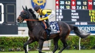 【マイルCS予想】重視すべきは「ローテ」か「着順」か？ 過去データから探るGIマイルCS