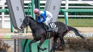 【浦和記念枠順】重賞で好走続けるロードクロンヌは8枠11番、前哨戦を制したスレイマンは4枠4番