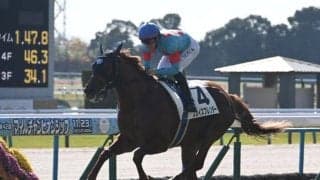 【京都5R新馬戦結果】サートゥルナーリア産駒スカイスプレンダーが逃げ切り快勝