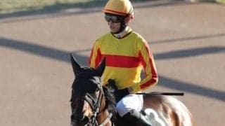 【JRA・WIN5】本日のWIN5は的中2575票、配当19万8820円