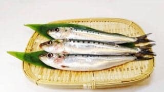 DHAの嬉しい美容効果