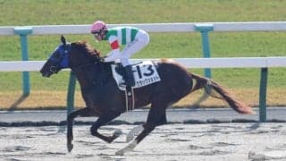 【京都2R】アドマイヤマーズ産駒 クラックショットが6馬身差圧勝