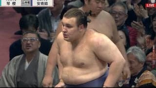 「ワイの年収の1.5年分が」初優勝・安青錦が千秋楽で受け取った懸賞の分厚さに驚愕「山程出る」