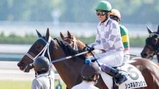 【新馬/京都4R】武豊「素直な馬」シュネルアンジュがデビューV